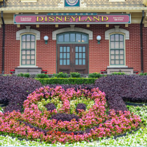Disneyland Tour Hong Kong Dwidayatour 2023